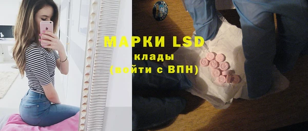 ПСИЛОЦИБИНОВЫЕ ГРИБЫ Алзамай
