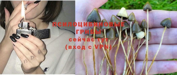 амфетамин Алексин