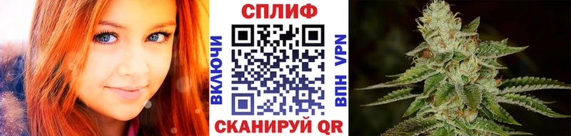 Бошки марихуана планчик  как найти закладки  Устюжна 